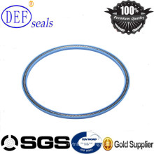 PTFE Face Seals Spring Loaded Seals -PTC